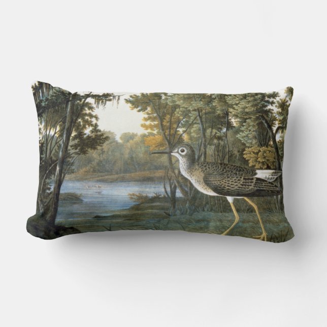 Coussin Rectangle Peu de Yellowlegs (Recto)