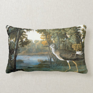 Coussin Rectangle Peu de Yellowlegs
