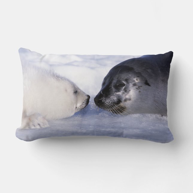 Coussin Rectangle Phoque de Groenland mère avec son petit (Recto)