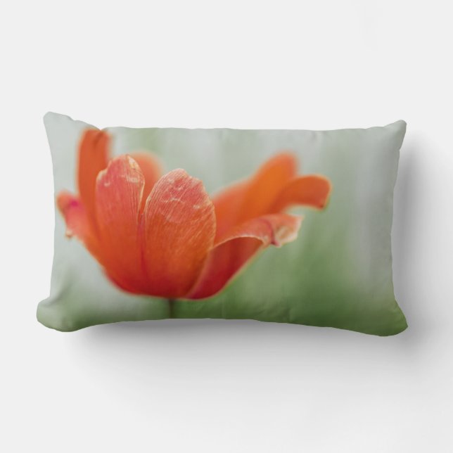 Coussin Rectangle Photo de gros plan d'un pétale de tulipe rouge et  (Recto)
