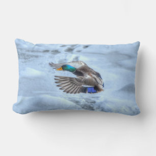 Coussin Rectangle Photo de la faune de Mallard Duck pour les amateur
