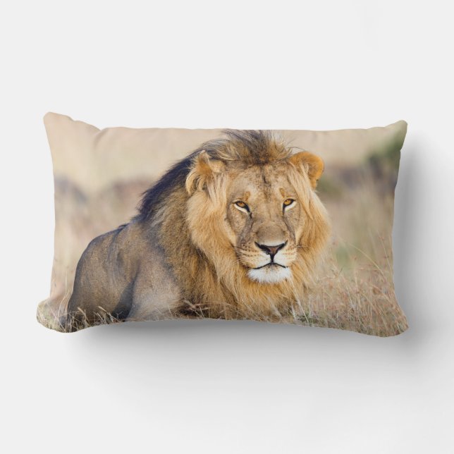 Coussin Rectangle Photo de lion majestueuse (Recto)
