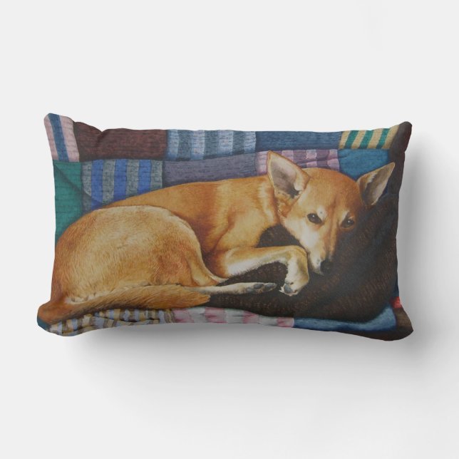 Coussin Rectangle photo de mignon labrador retriever dog (Recto)