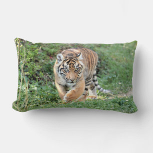 Coussin Rectangle Photo tiger chat, animaux jeter l'oreiller