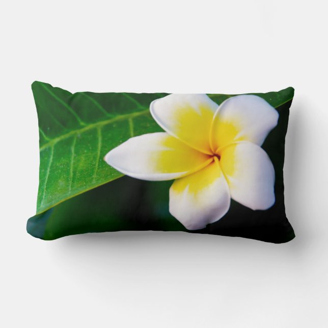 Coussin Rectangle Photographie de fleurs de plumeria (Recto)