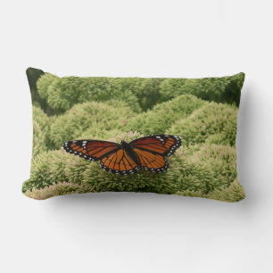 Coussin Rectangle Photographie de la nature belle papillon vice-roi