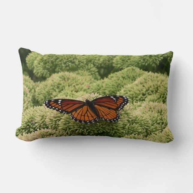 Coussin Rectangle Photographie de la nature belle papillon vice-roi (Recto)