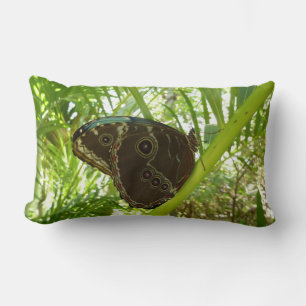 Coussin Rectangle Photographie de la nature du papillon Morpho bleu