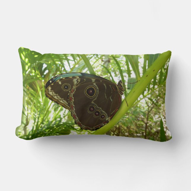 Coussin Rectangle Photographie de la nature du papillon Morpho bleu (Recto)