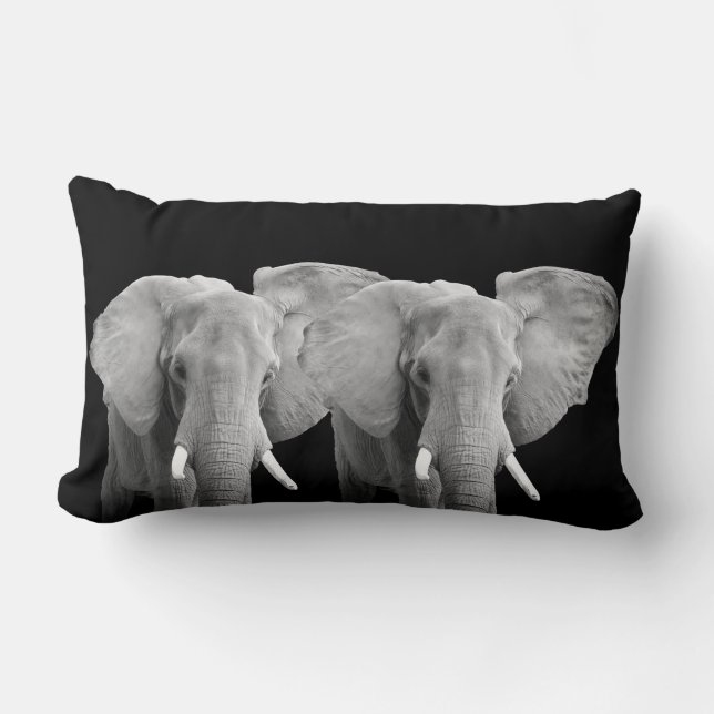 Coussin Rectangle Photos d'animaux éléphants sur Arrière - plan noir (Recto)
