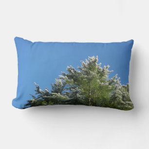 Coussin Rectangle Pin à pointes de neige sur le ciel bleu