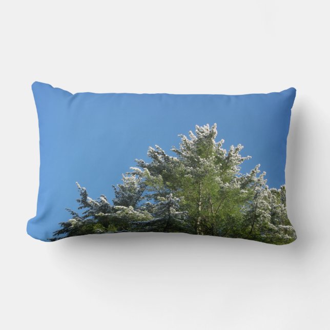 Coussin Rectangle Pin à pointes de neige sur le ciel bleu (Recto)