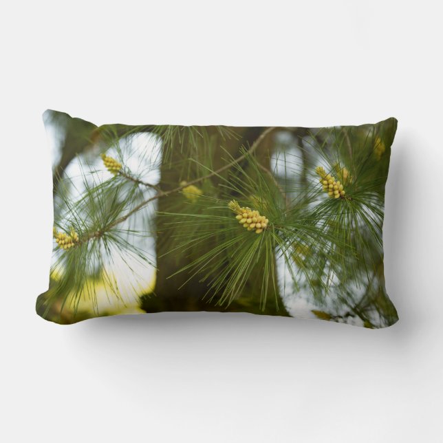 Coussin Rectangle Pin sylvestre en bourgeon (Recto)