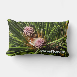 Coussin Rectangle Pinefer