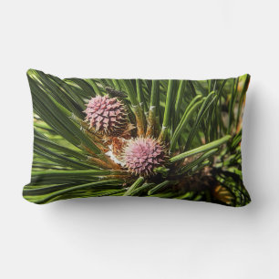 Coussin Rectangle Pinefer