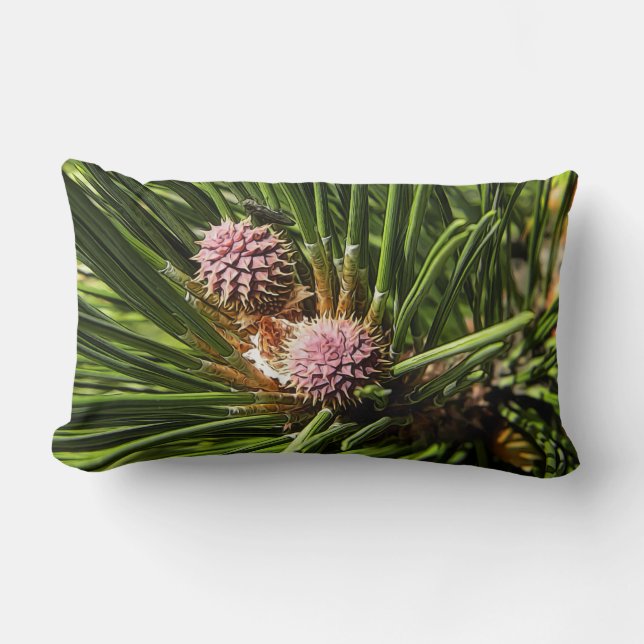 Coussin Rectangle Pinefer (Recto)