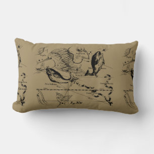 Coussin Rectangle Pisces Constellation Hevelius 1690 Engraving