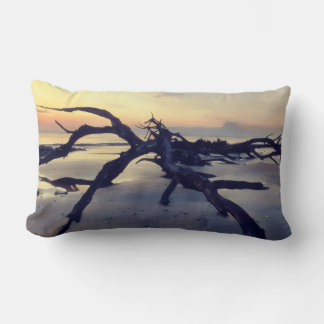 Coussin Rectangle Plage de bois flotté Jekyll Island Ga. à l'aube Or