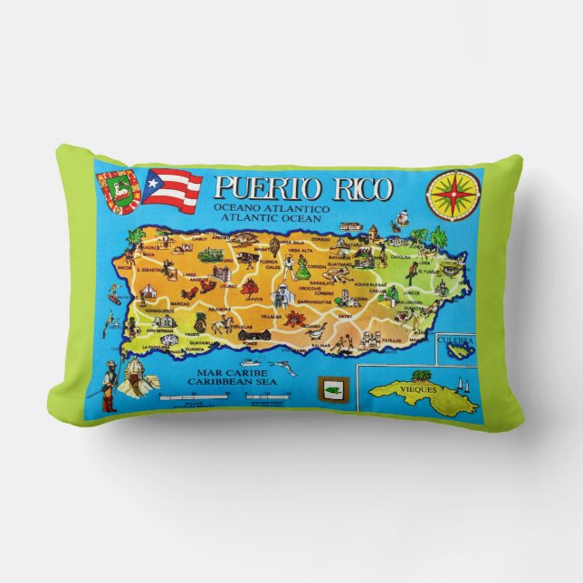 Coussin Rectangle Plaidoyer jetable en bleu clair de Porto Rico (Recto)