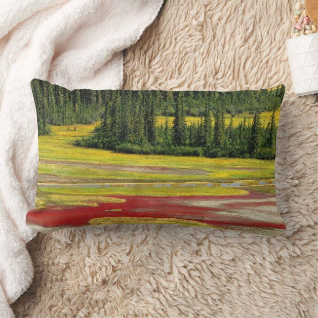 Coussin Rectangle Plaine de sel et forêt | Parc national Wood Buffal (Couverture)