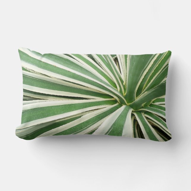 Coussin Rectangle Plante Agave Vert et blanc rayé (Recto)