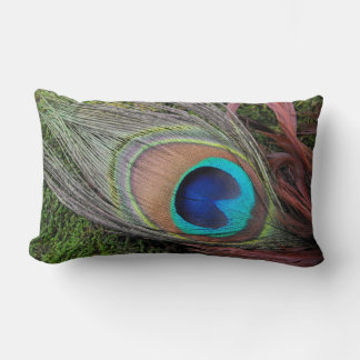 Coussin Rectangle Plumes de paon/Décor de mousse verte