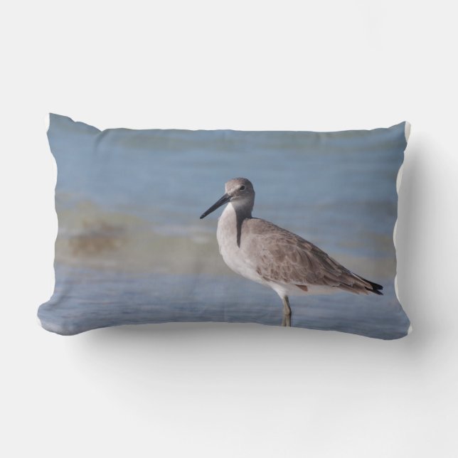 Coussin Rectangle Pluvier de plage (Recto)