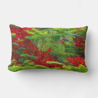 Coussin Rectangle Poinciana royal