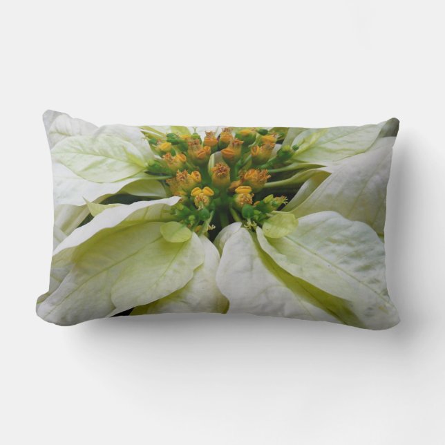 Coussin Rectangle Poinsettia Elegant Christmas Holiday Floral (Recto)