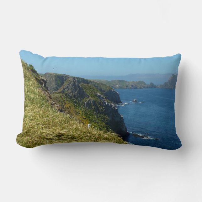 Coussin Rectangle Point d'inspiration II d'Anacapa aux îles Anglo-No (Recto)