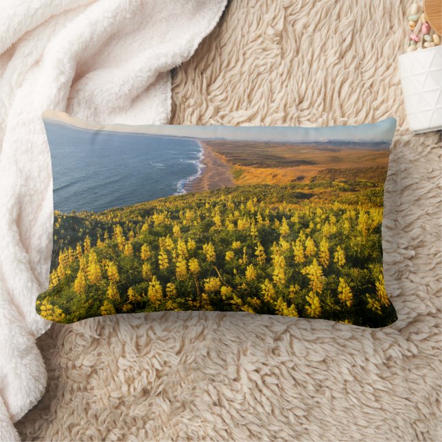 Coussin Rectangle Point Reyes National Seashore Californie (Couverture)