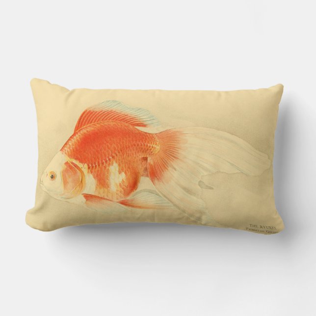 Coussin Rectangle Poisson rouge japonais. Le Ryukin. (Recto)