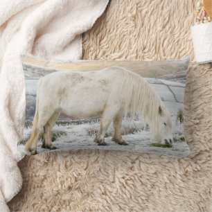 Coussin Rectangle Poney Fell blanc sur la lande en hiver