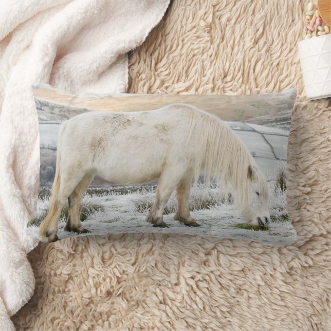 Coussin Rectangle Poney Fell blanc sur la lande en hiver (Couverture)