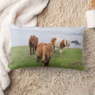 Coussin Rectangle Poney Shetland dans un pâturage près de hautes fal
