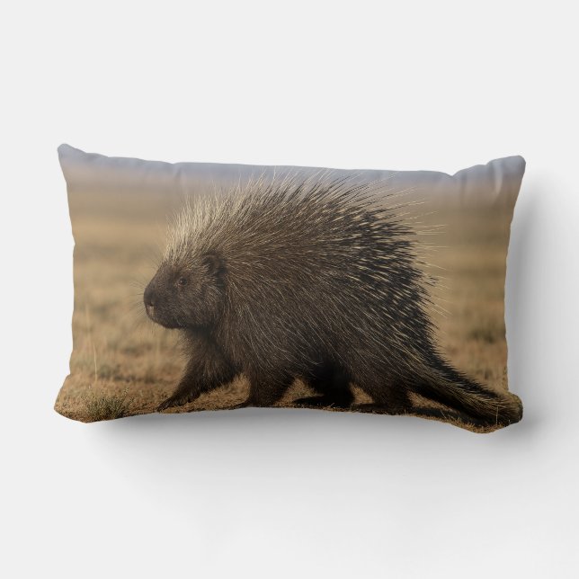 Coussin Rectangle Porc-épic contre chien (Verso)