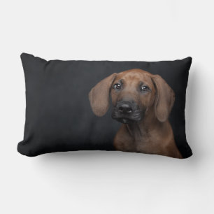 Coussin Rectangle Portrait de chiot Rhodesian Ridgeback Adorable Chi