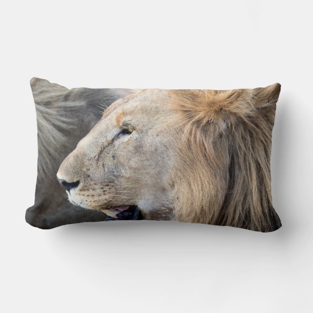 Coussin Rectangle Portrait de Lion (Recto)