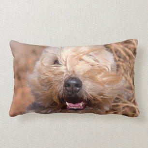 Coussin Rectangle Portrait de Terrier roux à revêtement souple