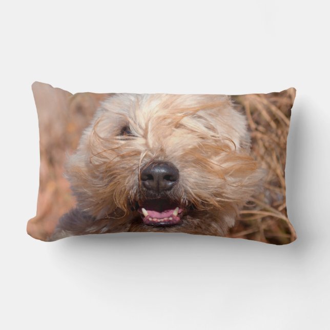Coussin Rectangle Portrait de Terrier Wheaten à poil doux (Recto)