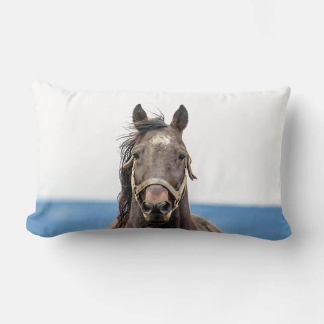 Coussin Rectangle Portrait d'un cheval (Recto)