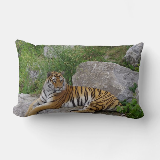 Coussin Rectangle Portrait photo d'un tigre de Sibérie (Recto)