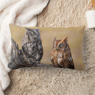 Coussin Rectangle Pose de l'arbre à vis de l'est