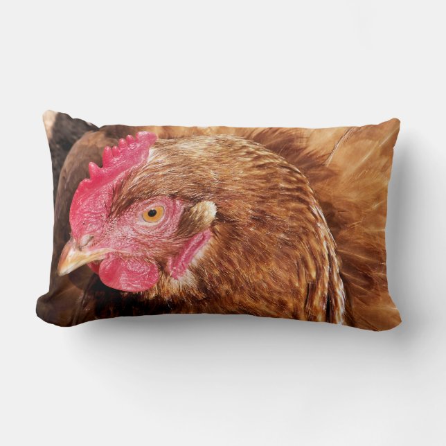 COUSSIN RECTANGLE POULET CUIT (Recto)