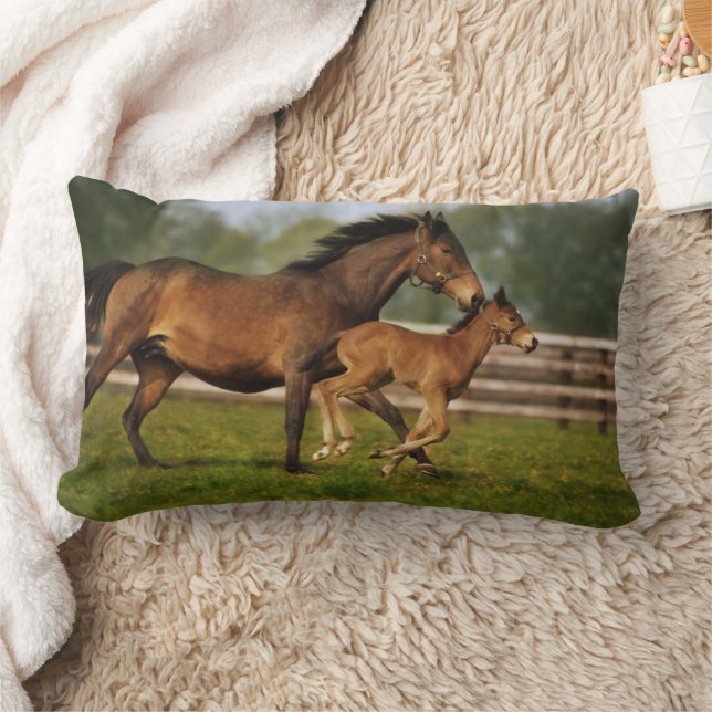 Coussin Rectangle Poulinière Alezan Pur-Sang et Poulain (Couverture)