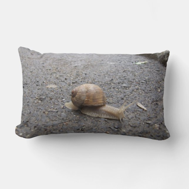 Coussin Rectangle Promenade de Snail (Recto)