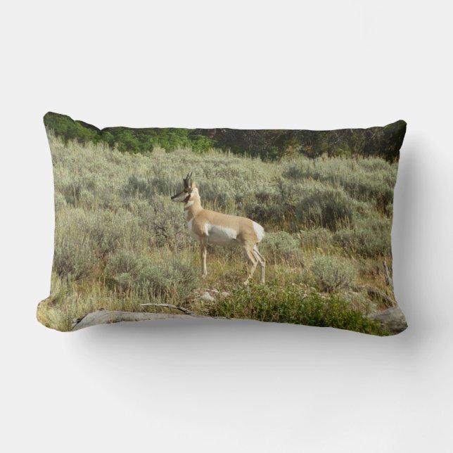 Coussin Rectangle Pronghorn au Parc national de Grand Teton (Recto)