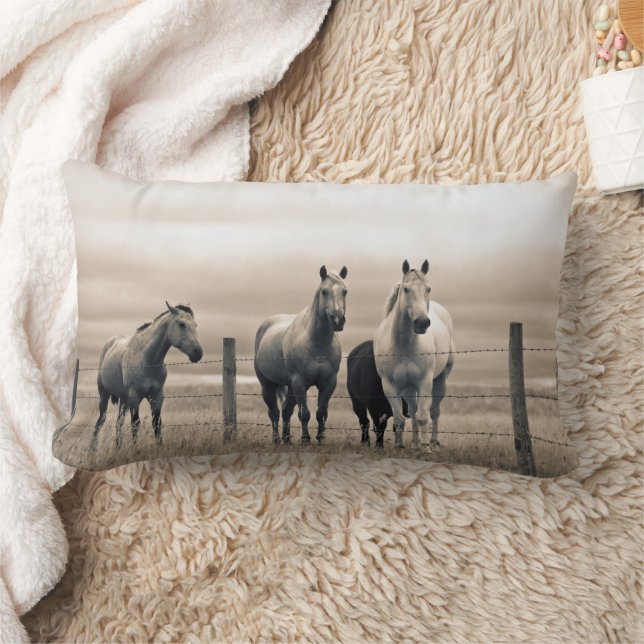 Coussin Rectangle Quart De Chevaux Sur Les Prairies Canadiennes (Couverture)
