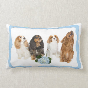 Coussin Rectangle Quatre Cavalier King Charles Spaniels Lumbar Couss