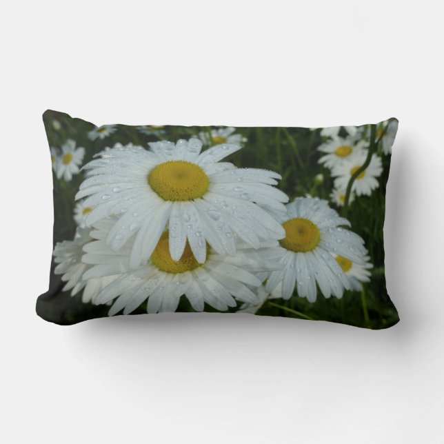 Coussin Rectangle Raindrops sur Daisies Floral Fleur sauvage (Recto)